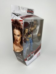 WWE Elite Lita Royal Rumble Mattel Wrestling Figure Exclusive 2006 Flashback
