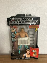 WWE Jakks Deluxe Aggression Series 14 Brian Kendrick Action Figure