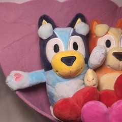 NWT BLUEY & BINGO 13″ Valentine’s Day Plush Bouquet Ruz