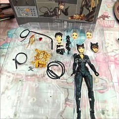 Premium Catwoman Action Figure Revoltech Style Collectible Display Model