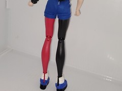 Harley Quinn – 2015 Mattel- DC Comics – 12″ Super Hero Girls Posable Doll