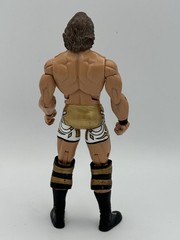 TNA Jeff Jarrett Figure Deluxe Impact Series 1 Jakks Pacific 2010 WWE WWF WCW