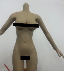 1/6 Female Flexible Seamless Doll Body For 12″ Greyish Posable Action Figure E