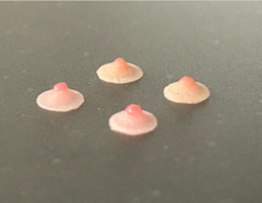 US 1/12 Silicone Breast Chest Patches Nipple model For 6” Action Figure Body