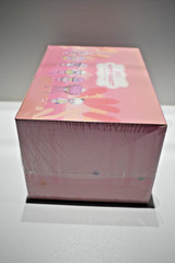 LIILA TOYS MISTY FOREST SUMMER VERSION (PINK) SERIES – FULL CASE OF 6 FIGURES