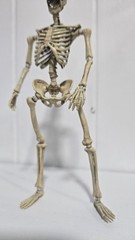 101TOYS NO.ES002 Palm Elf Series Skeleton Body 1/12 Action Figure Collectible
