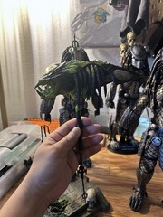1/6 Scale Custom Trophy Predalien Head