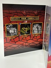 Premium DNA Toys 6″ Battletoads Zitz Toycon Exclusive Variant Action Figure!
