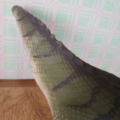 2008 Mattel D-Rex Interactive T-Rex Dinosaur w/ Remote | Working not Walking
