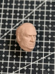 1/12 1/6 1/4 Unpainted Oz Cobb Penguin Head Sculpt Model Toys
