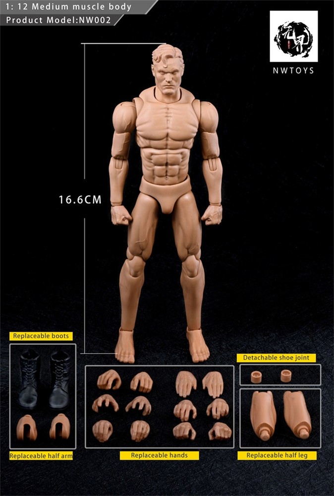 NwToys 1/12 Super Flexible Muscle Body Male Action Figure