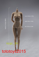 1/6 Suntan/Pale Super Flexible Large Bust Seamless Female Figure Body Model Toys