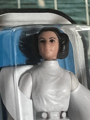 VINTAGE KENNER STAR WARS 1977 LEIA ORGANA 21 BACK C SECRET OFFER RARE CARD MOC