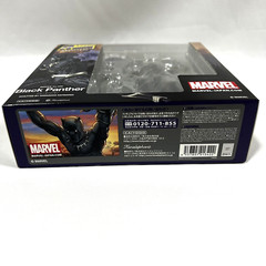 Kaiyodo AMAZING YAMAGUCHI Black Panther Action Fgure Complex Revoltech NEW