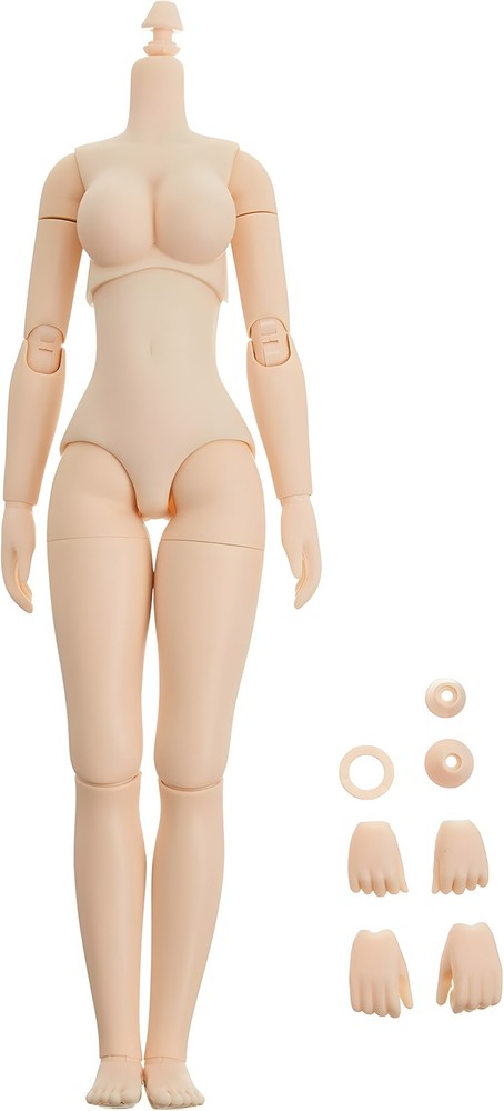 Obitsu Doll 24bd-F02W-L 24cm Obitsu Body Bust L New Whitie