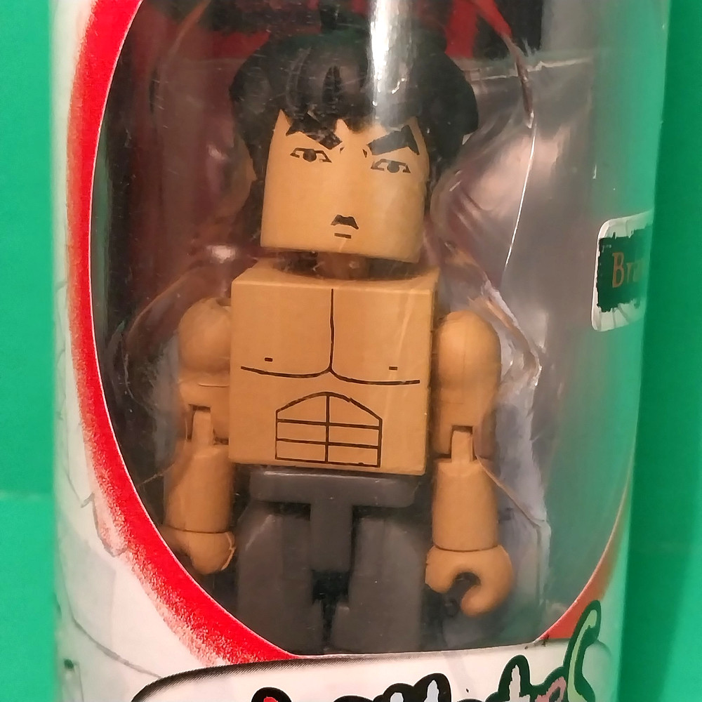 BRUCE LEE Figure LARGE Minimates ART ASYLUM New in Case Martial Arts Legend Htf