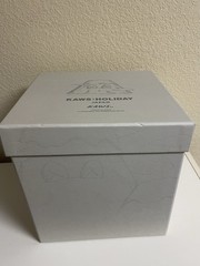 KAWS HOLIDAY JAPAN 2019 Mount Fuji Gray Plush AUTHENTIC W/ Box LIMITED EDITON