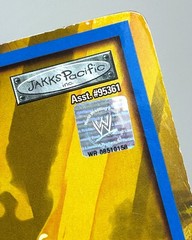 WWE Triple H Action Figure Jakks Pacific WrestleMania XX Champions Never opened
