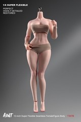 New ANT T307 1/6 Female Normal Sexy Large Bust Muscle Plump Body For 12”Figure