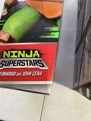 Playmates TMNT x WWE Ninja Superstars Series 1 Complete Set SEALED