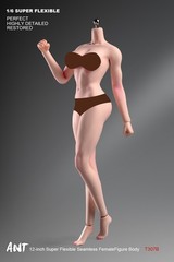 T307 1/6 Female Makeup Detail Body Fitness Plump muscle Bust 12″ Action Figure