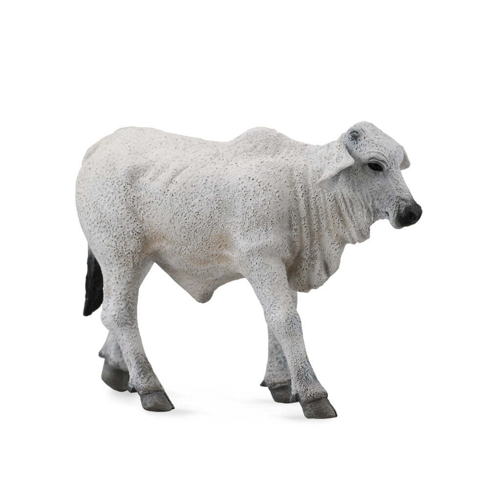 CollectA Realistic Animal Replica Brahman Bull Action Figure Small Ages 3+