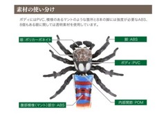 The Diversity of Life on Earth Peacok Spider Figure Bandai Capsule Toy