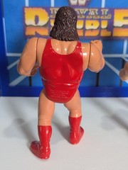 WWF Hasbro Natural Disasters – WWE Mattel LJN Titan Sports Vintage Wrestling