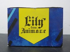 G1115 Lily from anim.o.v.e Premium Figure R VOCALOID FuRyu from Japan