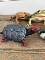 Lot 5 Frog Turtle Life-Like Realistic Plastic Rubber Stretchable Figure Toy