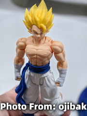 TONSENARTTOYS Kamione -02A Muay Thai Rightes Gogeta 1/12 Action Figure IN STOCK
