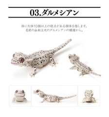 Bandai Gashapon Crested Gecko 3.9in Deformed Figure Caricature Direct Dalmatian