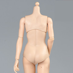 1/6 Female Flexible Joint Body Pale Super Large Breast Chest For 12″Figure Model