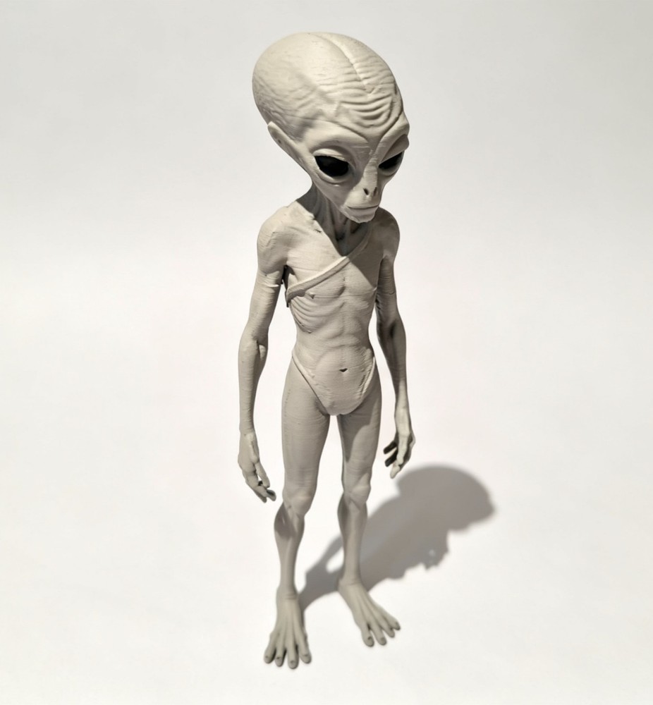 In Vivo 17 Inspired Alien Figurine 18cm Hand Painted Disclosure Day Collectible