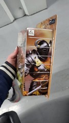 XesRay Studio, Combatants, Fight For Glory, AMBILLUS BEETLE, NIB