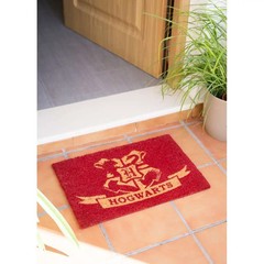 Harry Potter Platform 9 3/4 Doormat – Erik Group