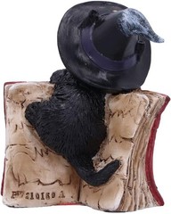 Nemesis Now Kitty’s Grimoire Cat Spell Book Figurine 8.2cm, Resin, Red, Witch’s