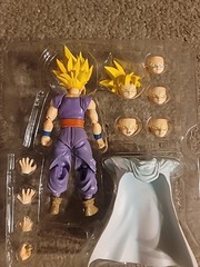 Bandai SH Figuarts Dragon Ball Z Super Saiyan Gohan 1.0 2010