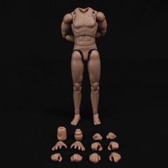 1/12 Scale Standard Male Body & Hands Model for 6″ Figure