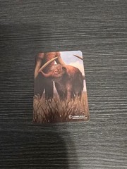 Eons Complexy X Creative Beast Studio Woolly Mammoth *Packaging Only*