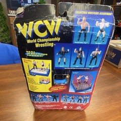 Original San Francisco Toymakers WCW Raven Action Figure 9809 Boxed