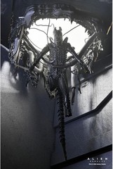 Alien Romulus Suspended Lab Xenomorph XX121 figure NECA 17437