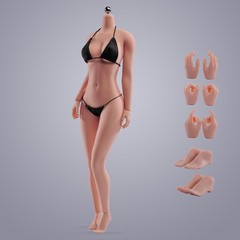 USA 1:6 Female Normal Skin Large Bust Breast 12in Flexible Seamless Figure Body