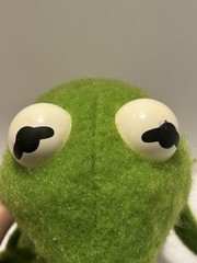 1970s Fisher Price “Muppet Show” Kermit The Frog Doll 850 in Orig TLC box – READ