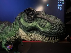 Jurassic World Hammond Collection Tyrannosaurus Rex CUSTOM MADE * send offers*