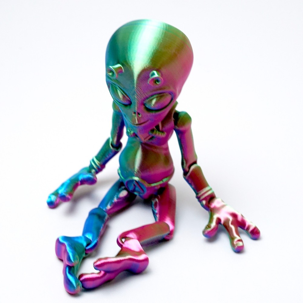 8.3inch 3D Printed Alien Model,Articulated Animals figure,Fidget Toys Home Decor