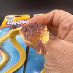Grow CREATURES Growing REPTILES 9 in. “GROWS Up To 600% Snake Lot Of 3 📦