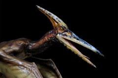 DINO DREAM 1/15 Pteranodon with Base Dinosaur Model GK Animal Figure Toys Gift