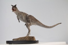 MEMORY MUSEUM 1/15 Carnotaurus Limited Edition Dinosaur Model Figure Toys Gift