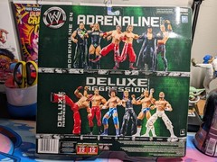 WWE Adrenaline Series 24 2 Pack 2007: Shawn Michaels & Triple H, New